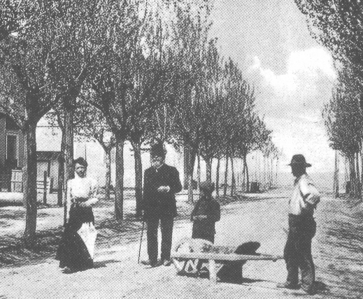 Viale Del mare - (Cliccare per chiudere la finestra)
